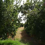펜션 Quinta Do Sol 타비라