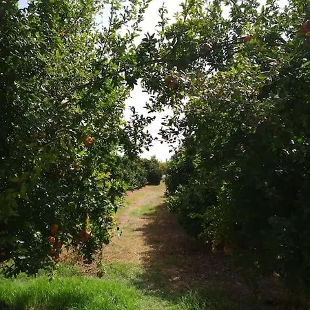 Hébergement de vacances Quinta Do Sol Tavira