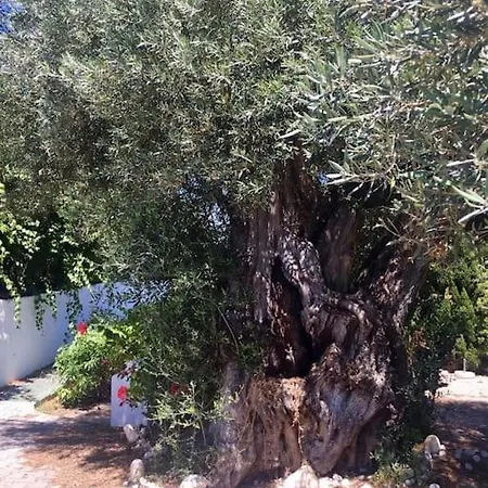 Quinta Do Sol * Tavira