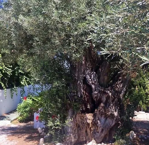 Quinta Do Sol * Tavira