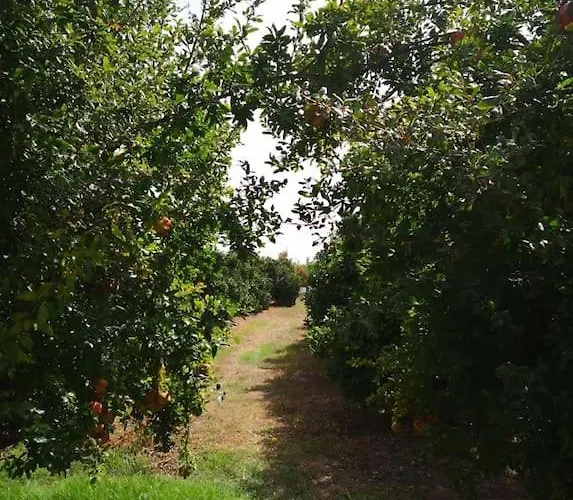 Holiday home Quinta Do Sol Tavira